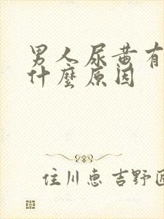 男人尿黄有沫是什么原因