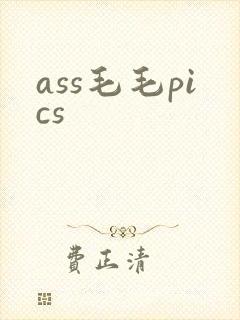 ass毛毛pics