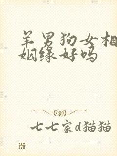 羊男狗女相配的姻缘好吗封面