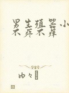 男生殖器小疙瘩不疼不痒封面
