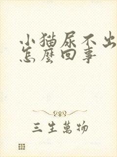 小猫尿不出尿是怎么回事