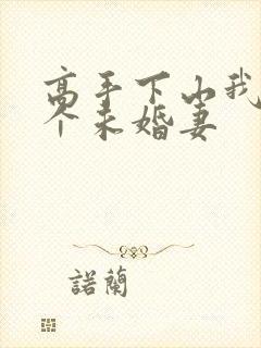 高手下山我有九个未婚妻