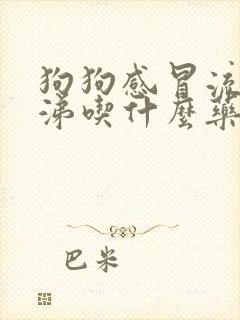 狗狗感冒流清鼻涕吃什么药好得快