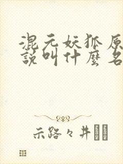 混元妖狐原著小说叫什么名字