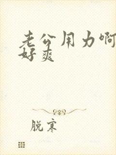 老公用力啊啊啊好爽封面