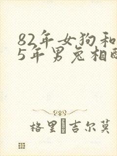 82年女狗和75年男兔相配婚姻如何