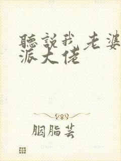 听说我老婆是反派大佬