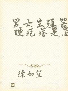 男士生殖器有个 硬疙瘩是怎么回事