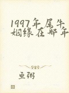 1997年属牛姻缘在哪年男生