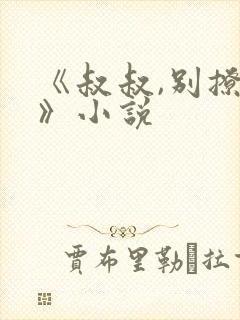 《叔叔,别撩我》小说