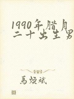 1990年腊月二十出生男孩命运