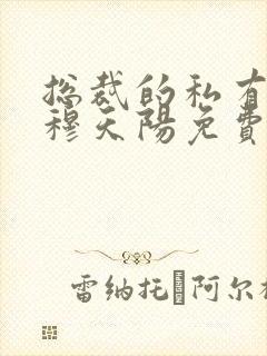 总裁的私有宝贝穆天阳免费封面