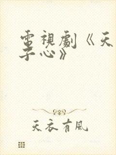 电视剧《天涯赤子心》封面