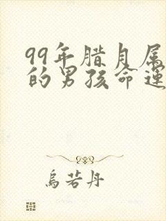 99年腊月属兔的男孩命运