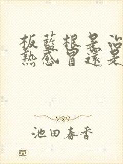 板蓝根是治疗风热感冒还是风寒感冒