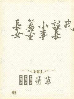 长篇小说我和美女董事长