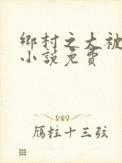 乡村之大被同眠小说免费封面