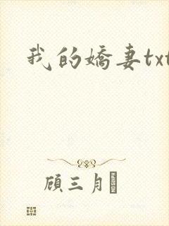我的娇妻txt