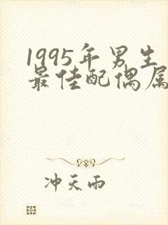 1995年男生最佳配偶属相封面