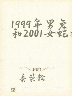 1999年男兔和2001女蛇相配婚姻如何