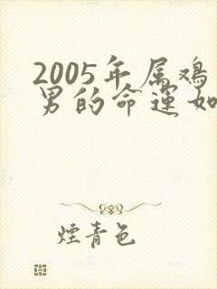 2005年属鸡男的命运如何