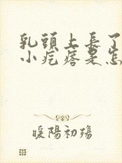 乳头上长了一些小疙瘩是怎么回事