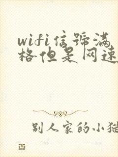 wifi信号满格但是网速很慢