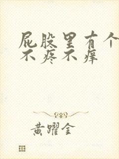 屁股里有个疙瘩不疼不痒封面