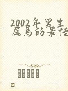 2002年男生属马的最佳婚配