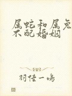 属蛇和属兔的配不配婚姻封面