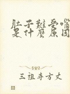 肚子难受嘴巴苦是什么原因