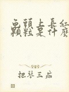 龟头上长红色小颗粒是什么病