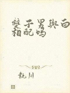 双子男与白羊女相配吗封面