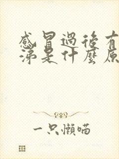 感冒过后有黄鼻涕是什么原因封面