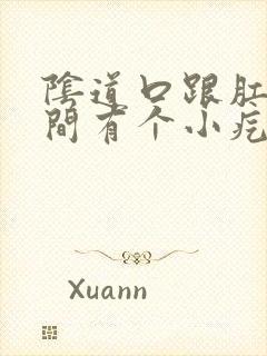 阴道口跟肛门之间有个小疙瘩