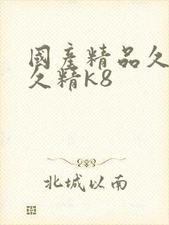 国产精品久久久久精k8