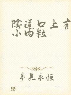 阴道口上有白色小肉粒