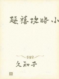 延禧攻略小说封面