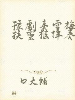 豫剧秦雪梅吊孝扶灵柩伴奏