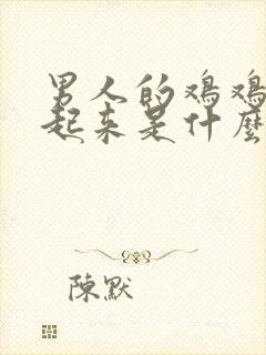 男人的鸡鸡硬不起来是什么原因