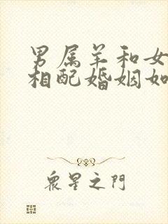 男属羊和女属兔相配婚姻如何