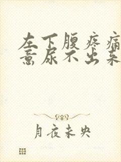 左下腹疼痛有尿意尿不出来