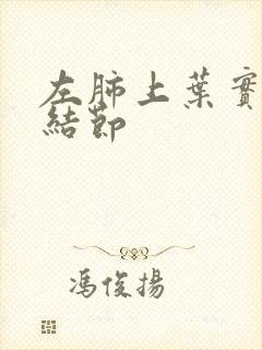 左肺上叶实性微结节