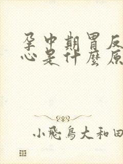 孕中期胃反酸烧心是什么原因