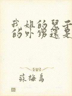 我姐的儿子是我的外甥还是侄子封面