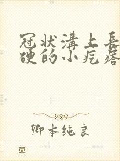 冠状沟上长了硬硬的小疙瘩