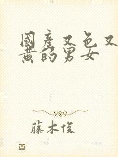 国产又色又爽又黄的男女封面