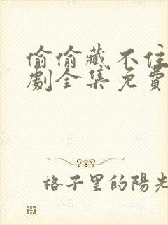 偷偷藏不住电视剧全集免费收看