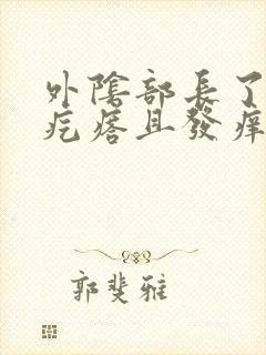 外阴部长了小红疙瘩且发痒