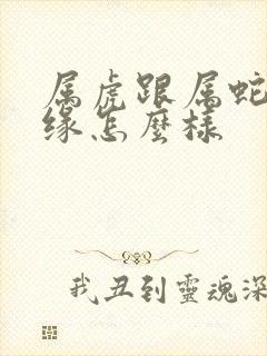 属虎跟属蛇的姻缘怎么样封面